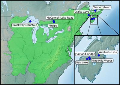 Genetic Structure of Natural Northern Range-Margin Mainland, Peninsular, and Island Populations of Northern Red Oak (Quercus rubra L.)